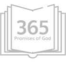365 Logo