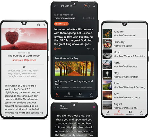 app-img