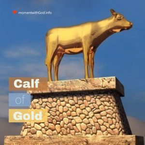 Calf of gold